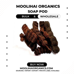 Soap Pod / Shikakai / Shikakai Acacia Concinna