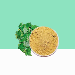 Solanum Trilobatum/Thoothuvalai Powder 1 kg