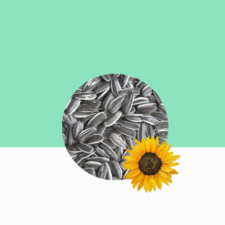 Sunflower Seeds 1 kg