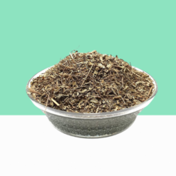 White Bhringaraj / Karisalanganni / False Daicy