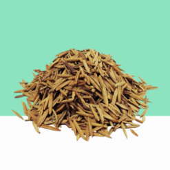 Wrightia Tinctoria / Sweet Indrajao