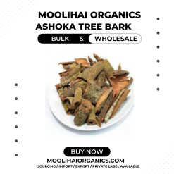 Ashoka Tree Bark/Ashoka Pattai