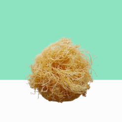 Organic White Seaweed