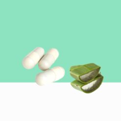 Aloe Vera Herbal Capsule/Aloe barbadensis - Bulk / Wholesale