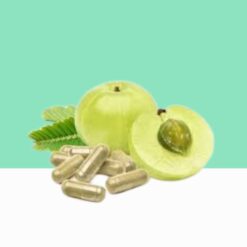 Amla Powder Capsule / Phyllanthus emblica -  Bulk / Wholesale