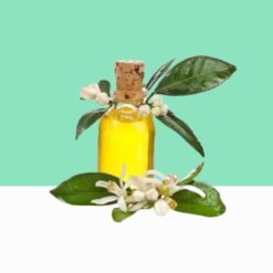 Amyris Essential Oil  - Bulk Order / Wholesale