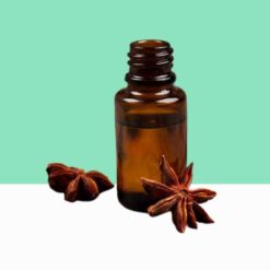 Anise Essential Oil / Pimpinella anisum - Bulk Order/Wholesale