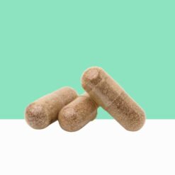 Arjuna powder Capsules/Terminalia arjuna - Bulk / Wholesale