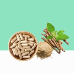 Ashwagandha Powder Capsule / Withania somnifera -  Bulk / Wholesale
