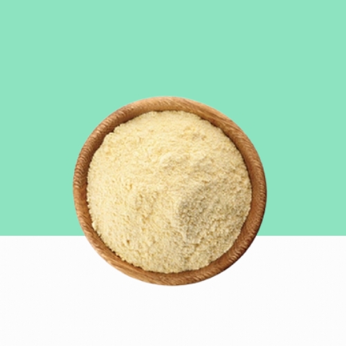 Bacillus Coagulans Powder