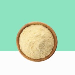 Bacillus coagulans Powder 150B CFU/G -  Bulk / Wholesale
