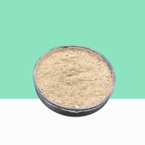 Bacillus coagulans Powder