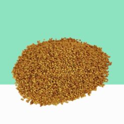 Barseem/Trifolium alexandrinum-  Bulk / Wholesale