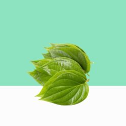 Betel/Piper betle-Bulk/Wholesale