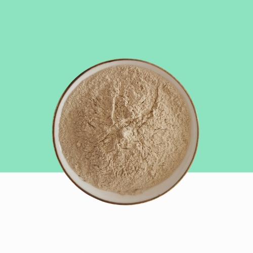 Bifidobacterium breve powder