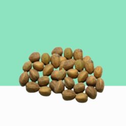 Biophytum Sensitivum Seeds/ Biophytum Sensitivum -  Bulk / Wholesale