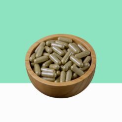 Bittermelon Extract Capsule /  Momordica charantia -  Bulk / Wholesale
