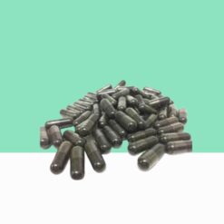 Black Seed Powder Capsules  / Nigella sativa - Bulk / Wholesale