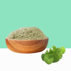 Brahmi Extract - Bacopa Monnieri-  Bulk / Wholesale