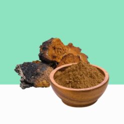 Organic Chaga Mushroom Powder/Inonotus obliquus - Bulk/Wholesale