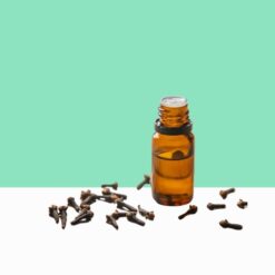Clove Bud Essential Oil / Syzygium aromaticum - Bulk Order / Wholesale