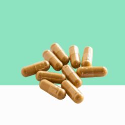 Fenugreek/Trigonella foenum-graecum -   Bulk / Wholesale
