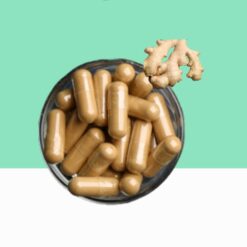 Ginger Herb Capsule - Bulk Order/Wholesale