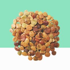 Gliricidia Seed/ Gliricidia Sepium -/Bulk / Wholesale