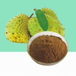 Graviola Extract Powder/Annona muricata -Bulk/ Wholesale