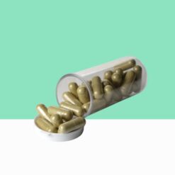 Green Tea Extract Capsules / Camellia sinensis-  Bulk / Wholesale