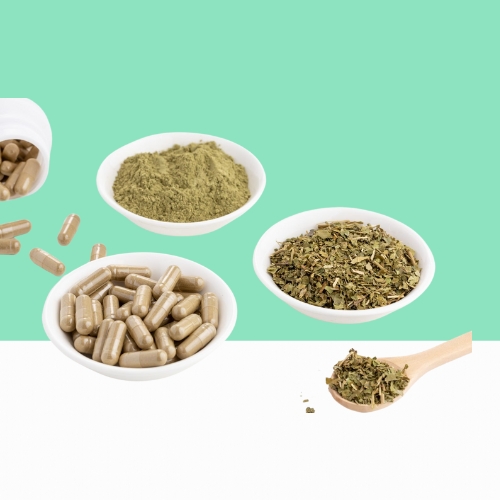 Gymnema Sylvestre Extract Capsule