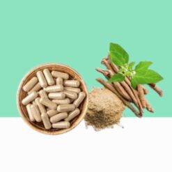 Herbal Ashwagandha Root Extract Capsules / Withania somnifera  - Bulk / Wholesale