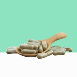 Herbal Shatavari Capsules/ Asparagus racemosus -   Bulk / Wholesale