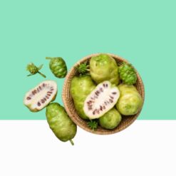 Indian mulberry/Morinda Citrifolia Noni -  Bulk / Wholesale
