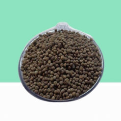 Lady Finger,Okra Seeds / Abelmoschus esculentus - Bulk/Wholesale