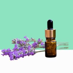 Lavender Essential Oil /Lavandula Essential Oil - Bulk/Wholesale