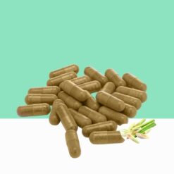 Lemongrass powder capsules  / Cymbopogon Citratus-  Bulk / Wholesale