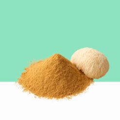 Lion's Mane Mushroom Extract- Bulk/Wholesale