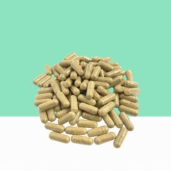 Liquorice powder Capsules / Glycyrrhiza glabra -Bulk / Wholesale