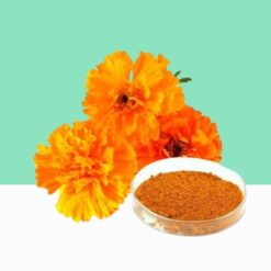 Marigold Extract Powder / Calendula officinalis -  Bulk / Wholesale