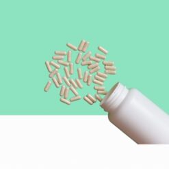 Moringa Extract Capsules/ Moringa oleifera - Bulk / Wholesale