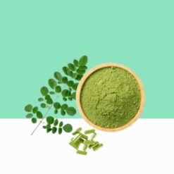 Moringa Powder Capsules/Moringa oleifera - Bulk / Wholesale