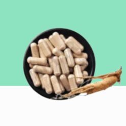 Natural Ginseng Capsules  / Panax ginseng-  Bulk / Wholesale