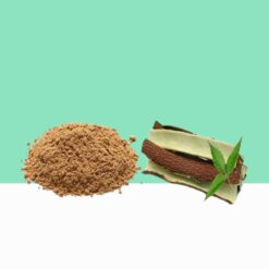 Neem Bark Extract - Azadirachta IndicaBulk / Wholesale