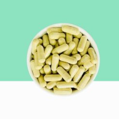 Neem Extract Capsule / Azadirachta indica  -  Bulk / Wholesale