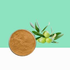 Olive Leaf Extract / Olea Europaea - Bulk/ WholeSale