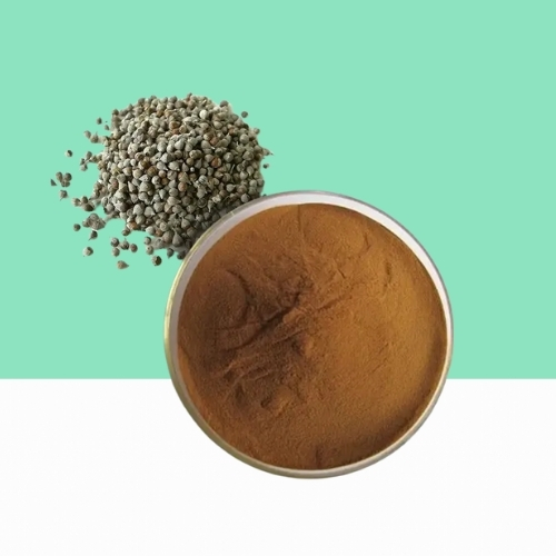 Organic Chaste Berry Powder Fritillary Bulb Extract Powder