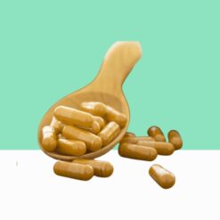 Organic Cinnamon Capsules / Cinnamomum verum -  Bulk / Wholesale