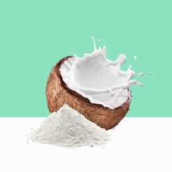 Organic Coconut Milk Powder/ Cocos nucifera - Bulk/Wholesale