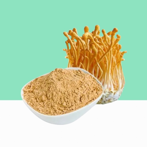 Organic Cordyceps Mushroom Powder